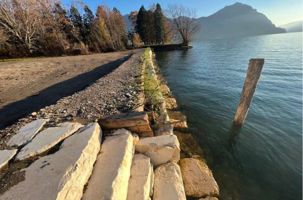 MIGLIORAMENTO DELLA QUALITA' DELLE ACQUE IN COMUNE DI COSTA VOLPINO