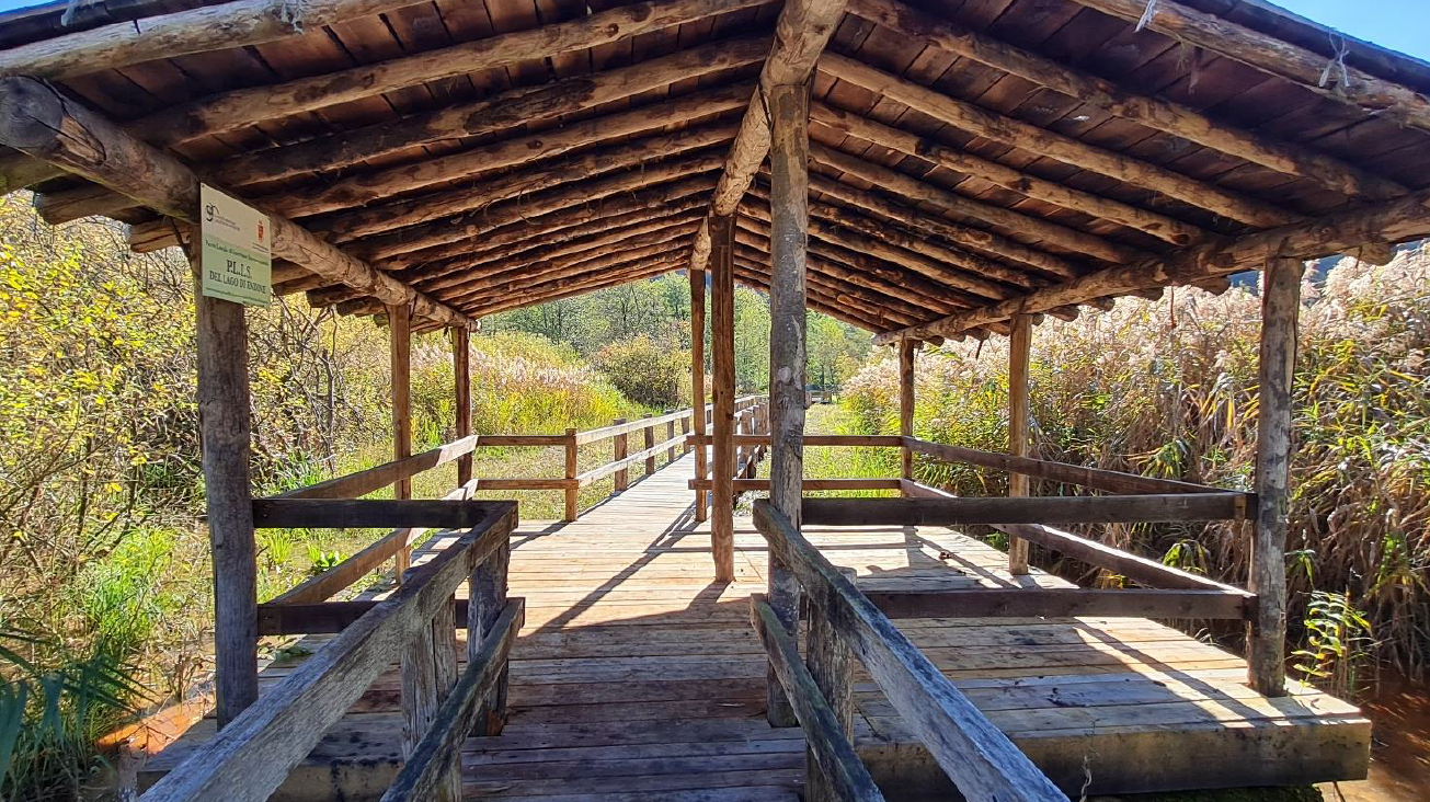 NUOVO PERCORSO CANNETO PRESSO I "CAREC" DEL LAGO DI ENDINE IN COMUNE DI ENDINE GAIANO