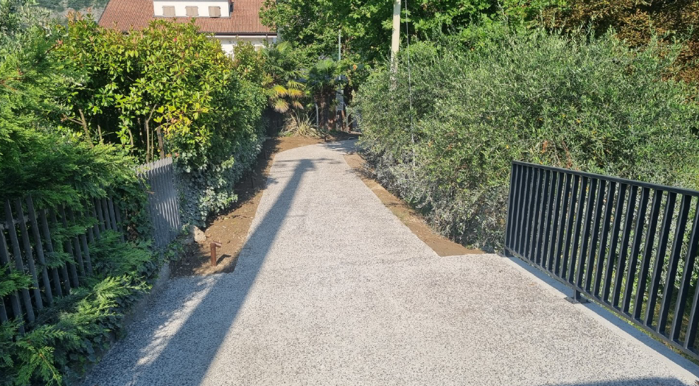 Immagine 2026 03 13 120711