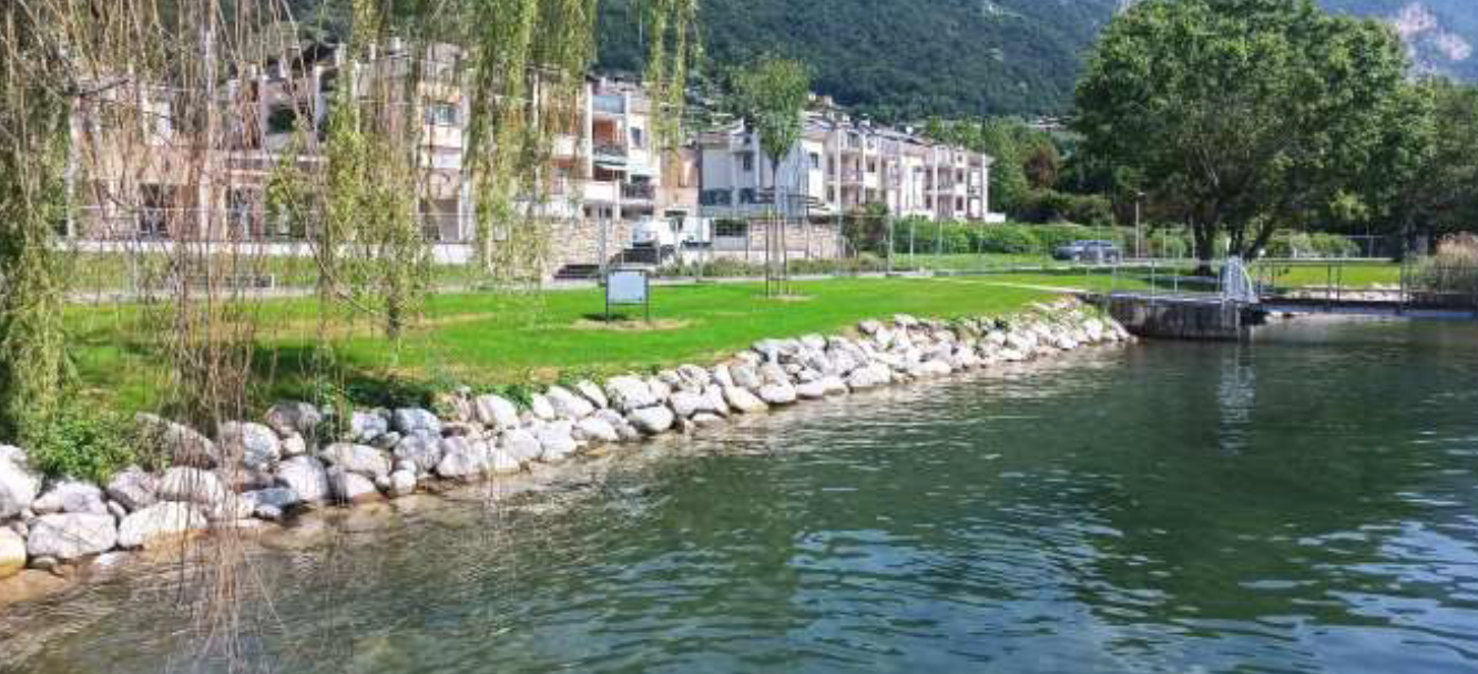 Immagine 2026 03 13 123722