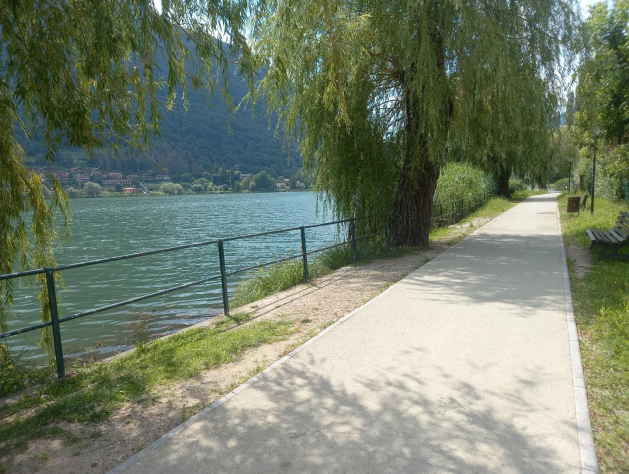Immagine 2026 03 13 124218