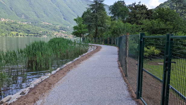 Immagine 2026 03 13 125415