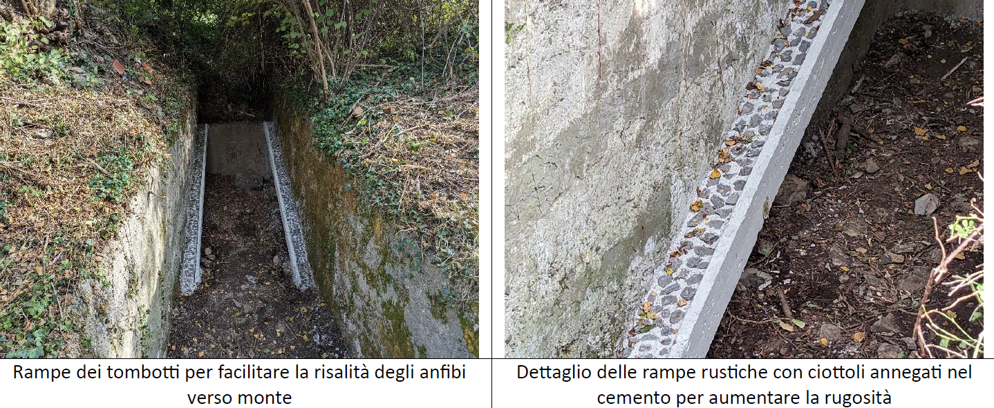 Immagine 2026 03 19 171550