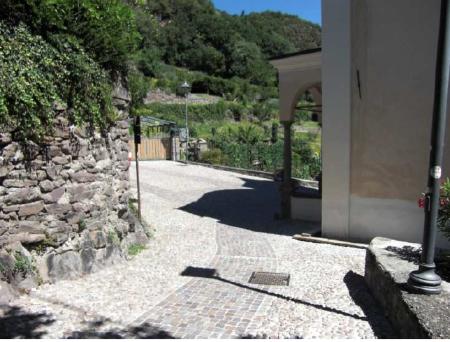 Immagine 2026 03 24 085331