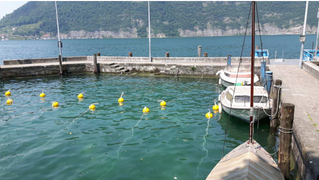Immagine 2026 03 24 114629