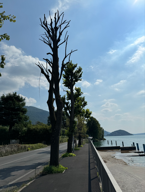 Immagine 2026 03 26 083906